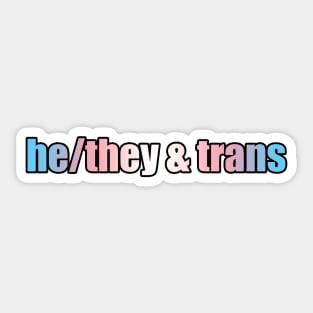 He/They & Trans Pride - Plain Pronouns Sticker